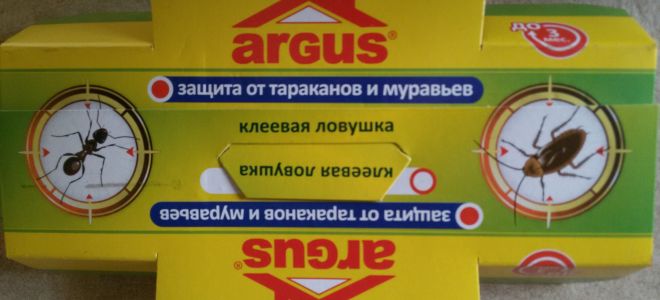 Клеевые ловушки Argus для уничтожения тараканов